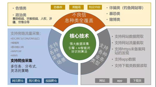 創旗申東吉 邊緣計算與信息安全監管在互聯網信息服務中的挑戰與機遇